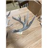 Image 5 : 4 DEER SHEDS