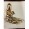 Image 4 : 2 SQUIRREL PITCURES JCARSON 1978