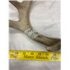 Image 1 : 2 Deer Sheds