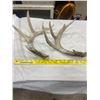 Image 2 : 2 Deer Sheds