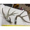 Image 1 : 2 Deer Sheds