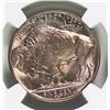 Image 2 : 1938-D B UFFALO NICKEL