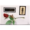 Image 2 : Gilt framed black and white photograph of Prime Minister Pierre Elliot Trudeau with rose and pin, pe