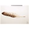 Image 2 : Authentic movie prop from "The New World" including John Smith's ( Colin Farrell) feather with New L