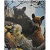 Image 2 : Framed print of bear cubs