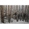 Image 2 : Framed Steven Lyman print of a moose in the woods