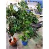 Image 2 : 2 FAUX PLANTS