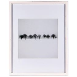 Hakan Strand photograph