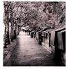 Image 2 : Framed photograph Parisian scene, indistinctly signed