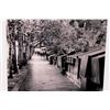 Image 3 : Framed photograph Parisian scene, indistinctly signed