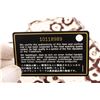 Image 7 : Chanel Brown Cream Camelia Pattern Fabric Flap Shoulder Bag
