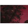 Image 7 : Evening by Larry Horowitz Original