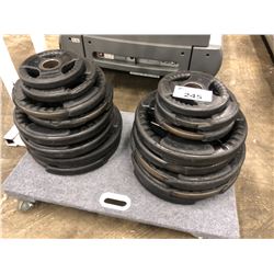 2 STACKS OF ASSORTED PLATE WEIGHTS