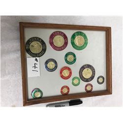 Tonga Island Seals (13)