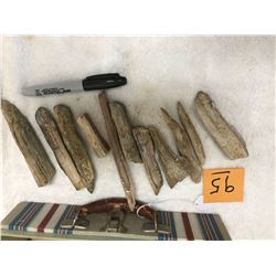 Box of 12 Petrified Sticks