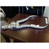 Image 2 : METAL ANTELOPE HEAD 22 INCHES