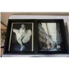 Image 2 : 2 Rockwell collector plates, shadowbox and 2 holographic pictures