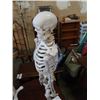 Image 2 : ANATOMICAL SKELETON 24 INCHES TALL