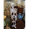 Image 1 : ANATOMICAL SKELETON 24 INCHES TALL