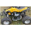 Image 1 : 2010 DAYMAK SASQUATCH 110 CC ATV