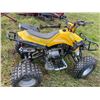 Image 2 : 2010 DAYMAK SASQUATCH 110 CC ATV