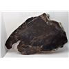 Image 2 : 17)  PETRIFIED WOOD SPECIMEN, 8" X 5" X 1"