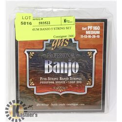 NEW MEDIUM BANJO 5 STRING SET