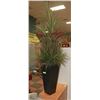 Image 1 : SILK PLANT/TREE IN DECORATIVE VASE- 5' TALL