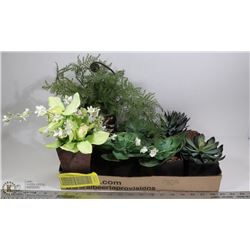 ASSORTED LOT OF SILK PLANTS