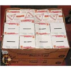 24 FLOOD LIGHT BULBS