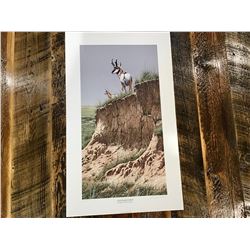 VANTAGE POINT PRONGHORN BY NEAL ANDERSON