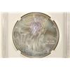 Image 1 : 2013 AMERICAN SILVER EAGLE NGC MS70 1ST RELEASES