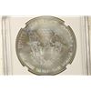 Image 2 : 2013 AMERICAN SILVER EAGLE NGC MS70 1ST RELEASES