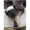 Image 2 : SET DEC FAUX WOLF HIDE