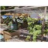 Image 3 : ASSORTED FAUX GREENERY
