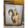 Image 2 : 2 FRAMED RAM ART PIECES