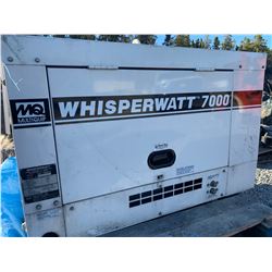 7000 watt generator= diesel