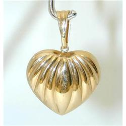 9118 14K Gold Pendant