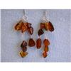 Image 1 : 9129 Dangling Amber Earrings