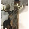 Image 3 : Decorative Lamp - Moose in the woods