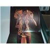 Image 3 : Amy Stewart Paradise Bird arriola records excellent condition