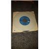 Image 2 : 45 RPM the turtles the walking song fair condition