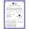 Image 2 : Genuine 1 ctw Sapphire Ring 14KT White Gold - REF-43M2T