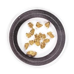 Lot of Gold Nuggets 2.73 grams Total Weight