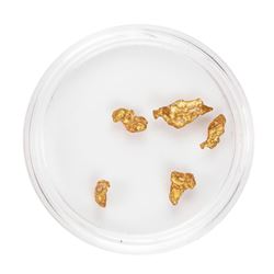 Lot of 2.70 Gram Total Weight Australian Gold Nuggets