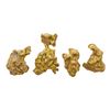 Image 2 : Lot of 4.51 Gram Total Weight Australian Gold Nuggets