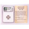 Image 2 : 1553 KB Hungary Denar 'Madonna and Child' Coin NGC XF45 w/ Story Box