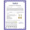 Image 2 : Genuine 3.55 ctw Citrine & Diamond Earrings 14KT Yellow Gold - REF-62X2M