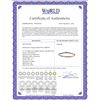 Image 2 : 6.17 CTW Multi-Color Sapphire Bracelet 14K White Gold - REF-117K8W