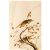 Image 3 : c1946 Audubon Print, #58 Hermit Thrush